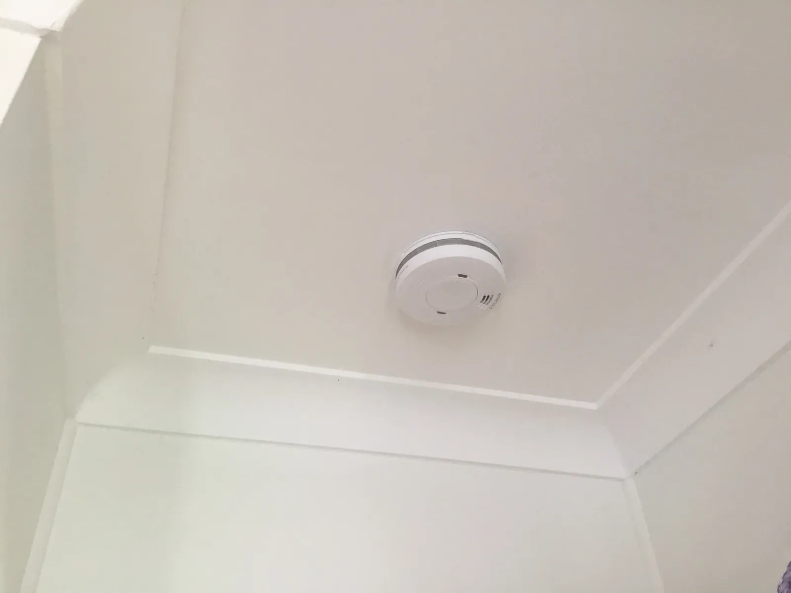 Smoke alarm installed on a ceiling near the cornice by M-Tech in Brisbane